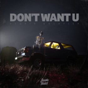 STUPID GOLDFISH - DON'T WANT U